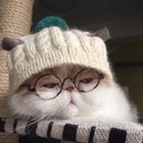 鸡丝