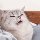 钻闪