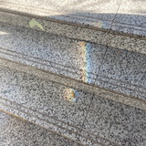 雪青