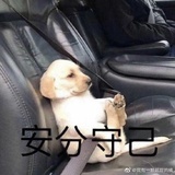 豆友205962502