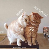 童童气球