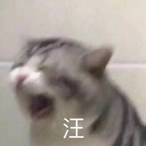 あいうえお