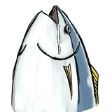 中午吃什么