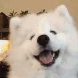 窝的小勾很渴爱