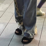 谁也看不到我