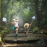 兰小柒来信
