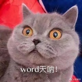 愚公你不懂爱