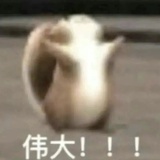啊啊啊小张