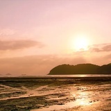 大江湖骗子