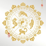 太好了我是笨蛋