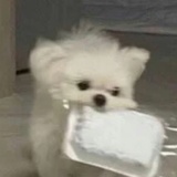 咕噜咕噜噜