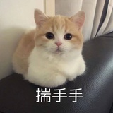芝芝桃桃莓
