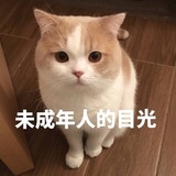 甜一点