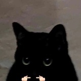 一只金钗