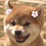 咩啊