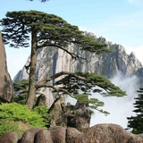 南山南