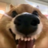 gfhhfbzyhsdhm