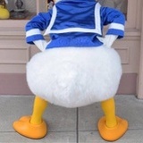 今天也很翘