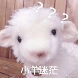 森森