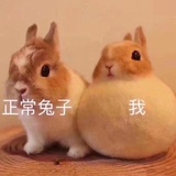 知名矿泉水品牌