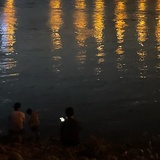 蜂蜜人蔘