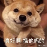 潞城