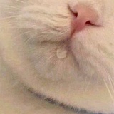 就是要买