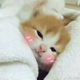 可那