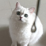 有时
