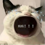 Kalika