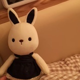 喵喵人