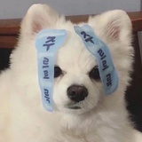 有个香瓜