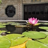 思学