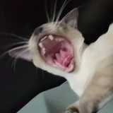 漠名-