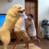 豆友206465083