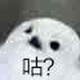 裘可拉