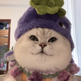 今天你早睡了吗