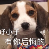 kerr吃桃子