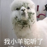 奶糖妈咪