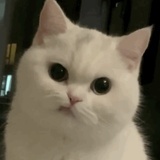 啊这