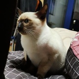 阿三