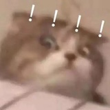 （）