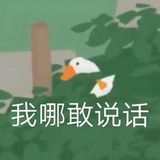 逗逗豆友