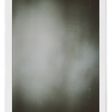 胃、橙子
