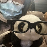 喜欢熊猫