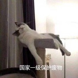 豆米面面