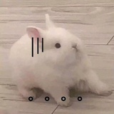 好的吧