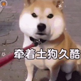 多担战士
