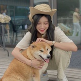 随便看看