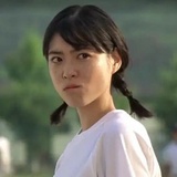 江湖一只小柴